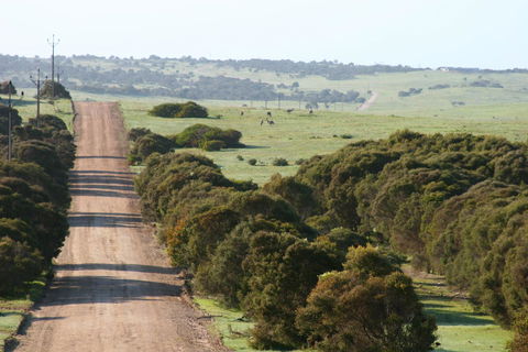 Almonta Park Lodge - Accommodation Sunshine Coast 1