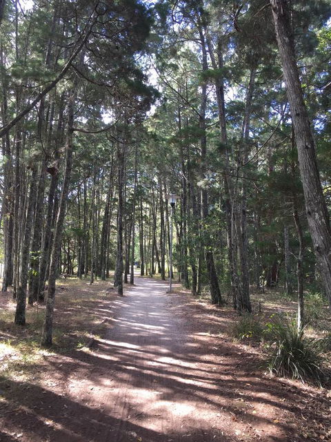 Brunswick Heads Treetop Studio - Accommodation Sunshine Coast 8