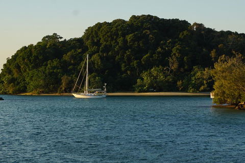 Brunswick Heads Treetop Studio - Accommodation Sunshine Coast 9