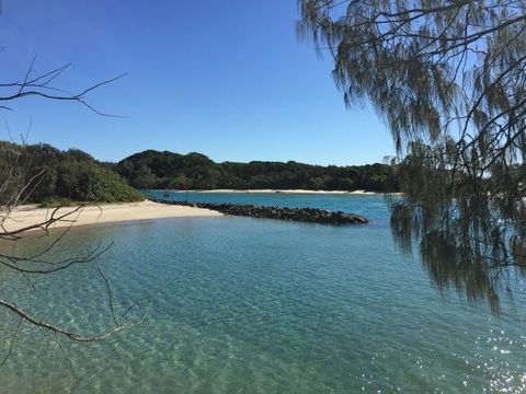 Brunswick Heads Treetop Studio - Accommodation Sunshine Coast 22