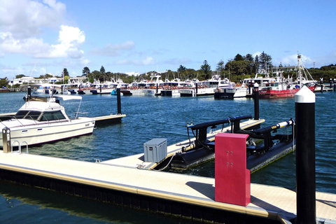 Robetown Motor Inn & Apartments - Accommodation Sunshine Coast 9