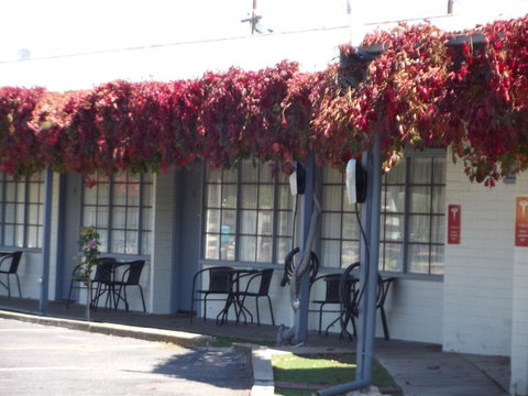 Guichen Bay Motel - Accommodation Sunshine Coast 23