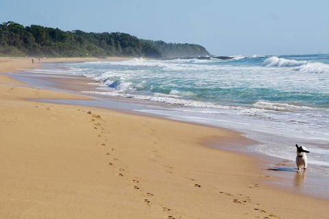 Culburra Beachhouse - Accommodation Sunshine Coast 7