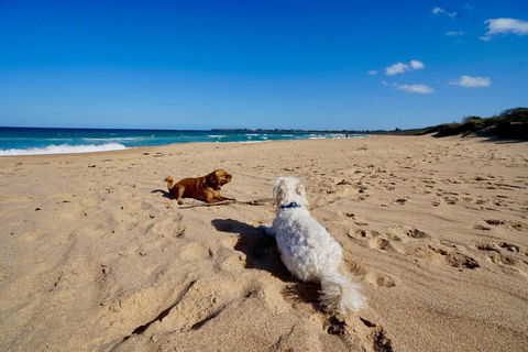 Culburra Beachhouse - Accommodation Sunshine Coast 8