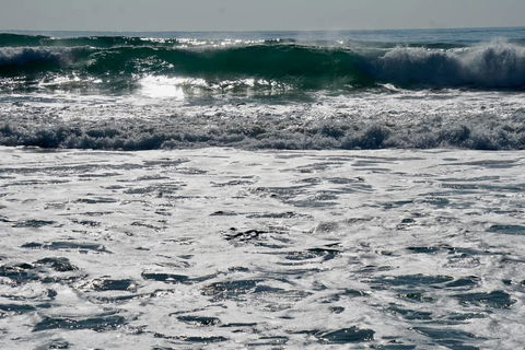 Culburra Beachhouse - Accommodation Sunshine Coast 10