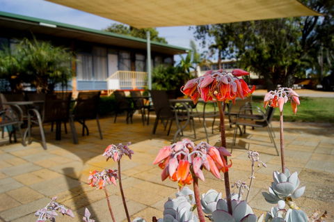 Kangaroo Island Seaview Motel - Accommodation Sunshine Coast 3