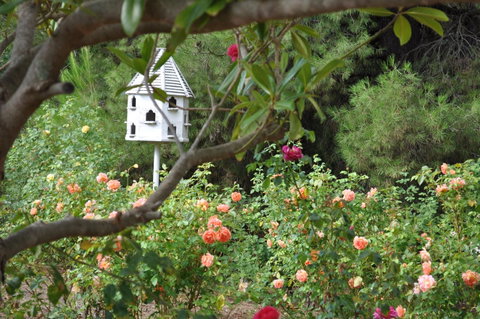 The Lyndoch Motel - Accommodation Sunshine Coast 2