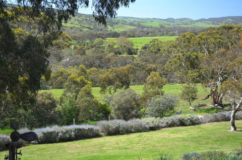 Cabernet Cottage - Accommodation Sunshine Coast 10