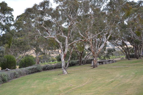 Cabernet Cottage - Accommodation Sunshine Coast 8