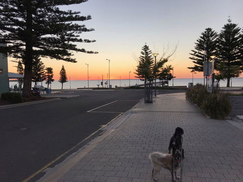 BIG4 Ceduna Tourist Park - Accommodation Sunshine Coast 34