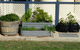 BIG4 Ceduna Tourist Park - thumb 30
