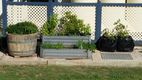 BIG4 Ceduna Tourist Park - Accommodation Sunshine Coast 30