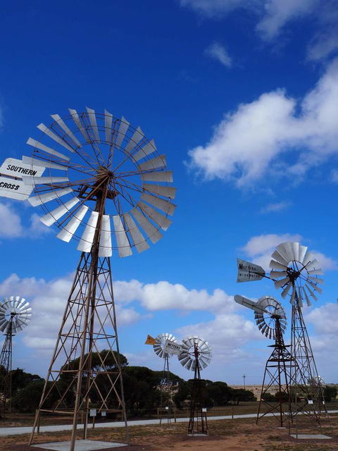 BIG4 Ceduna Tourist Park - Accommodation Sunshine Coast 33