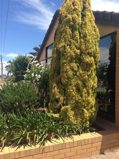 Aviators Lodge - Accommodation Sunshine Coast 9