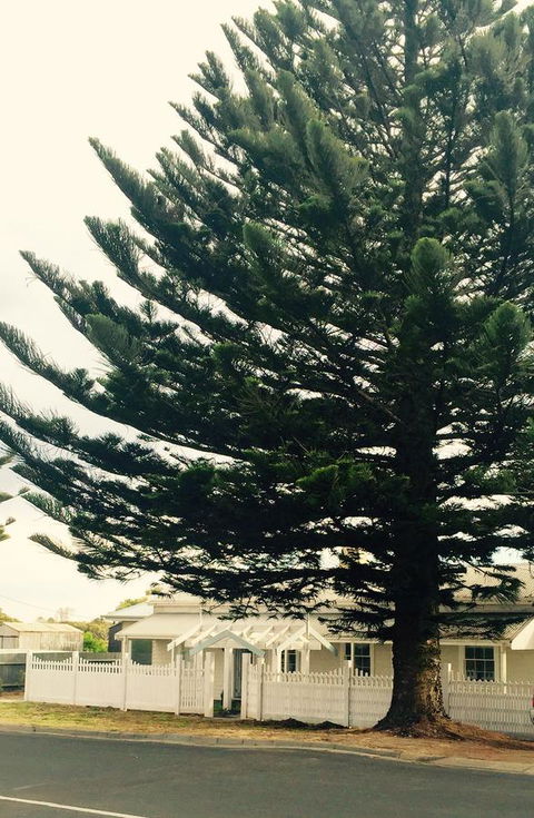 Railway Cottage In Beachport - Accommodation Sunshine Coast 13