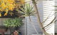 Milly\'s Middleton - Pet-friendly - thumb 23