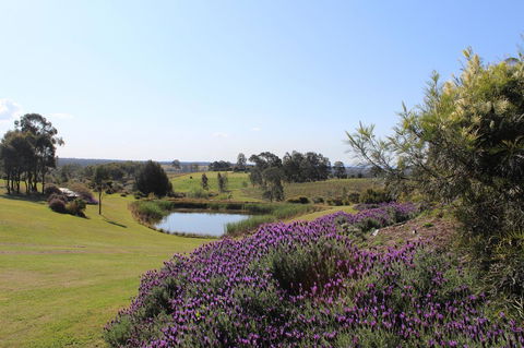 Beltana Villas - Accommodation Sunshine Coast 7