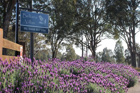 Beltana Villas - Accommodation Sunshine Coast 10