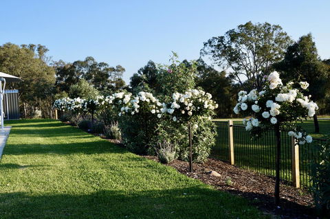 Beltana Villas - Accommodation Sunshine Coast 2