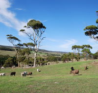Lisieux Farm Bed and Breakfast - Accommodation Sunshine Coast