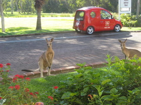 Aston Motel Yamba - Accommodation Sunshine Coast 6