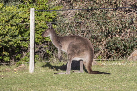 Chandlers Smiths Beach Villas - Accommodation Sunshine Coast 15