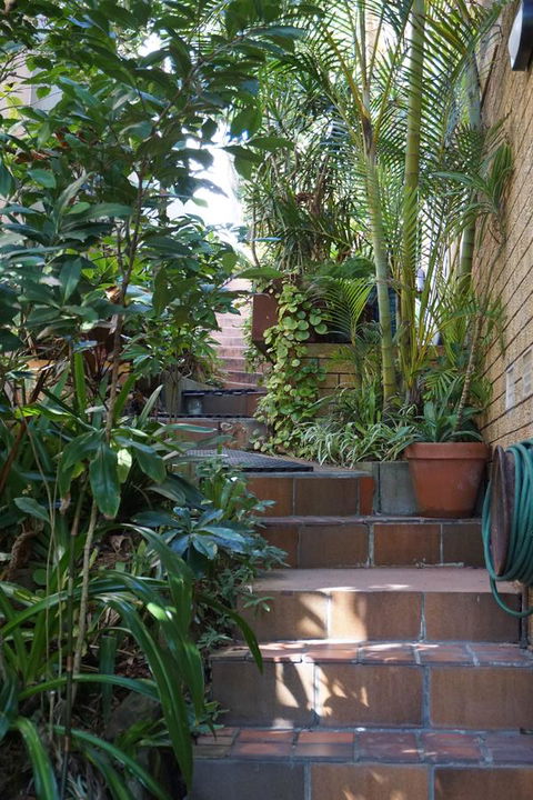WategosRent - Accommodation Sunshine Coast 3