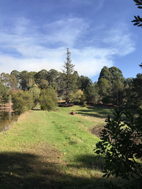 Forest Lodge Resort - Accommodation Sunshine Coast 31