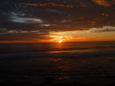 Kanga Cottage - Accommodation Sunshine Coast 41