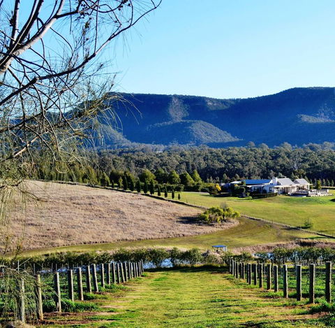 Grapevines Boutique Accommodation - Accommodation Sunshine Coast 5