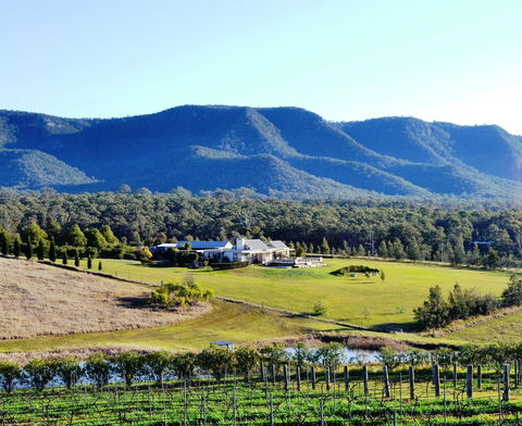 Grapevines Boutique Accommodation - Accommodation Sunshine Coast 0