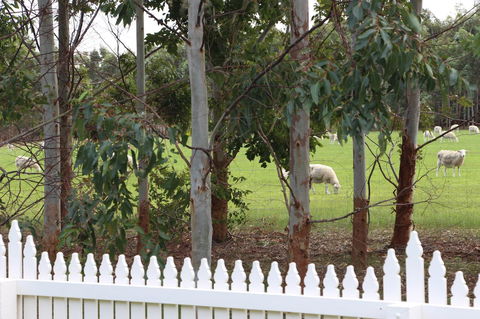 Sapphire Chalets, Augusta - Accommodation Sunshine Coast 9