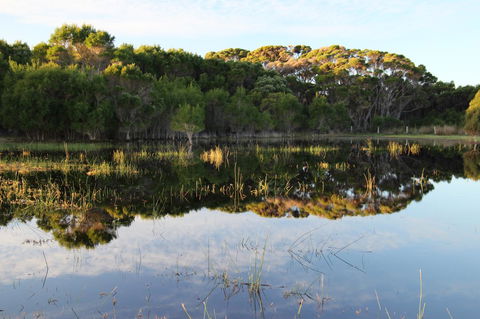 Sapphire Chalets, Augusta - Accommodation Sunshine Coast 14
