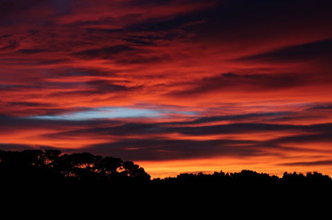 Sapphire Chalets, Augusta - Accommodation Sunshine Coast 15