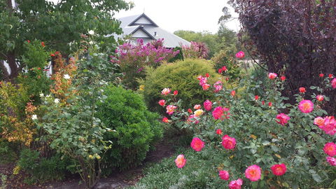 Glenelg On King Bed & Breakfast - Accommodation Sunshine Coast 15