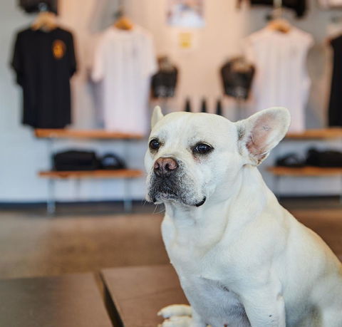 Nomads Byron Bay Backpackers - Accommodation Sunshine Coast 24