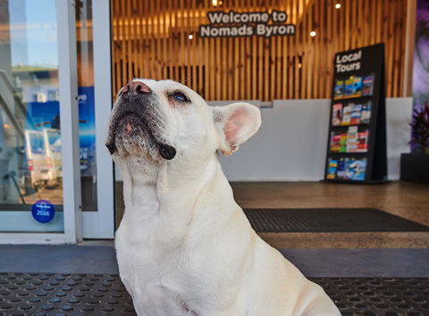 Nomads Byron Bay Backpackers - Accommodation Sunshine Coast 22