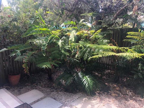 East On Byron - Accommodation Sunshine Coast 40