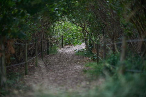 Ingenia Holidays Byron Bay - Accommodation Sunshine Coast 15