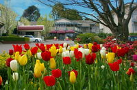 Book Leura Accommodation Vacations Accommodation Sunshine Coast Accommodation Sunshine Coast