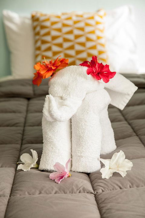 Kempsey Rose Motor Inn - Accommodation Sunshine Coast 17