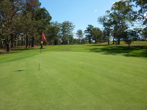 Kempsey Rose Motor Inn - Accommodation Sunshine Coast 3