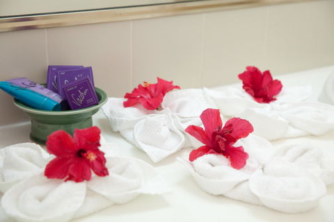 Kempsey Rose Motor Inn - Accommodation Sunshine Coast 14