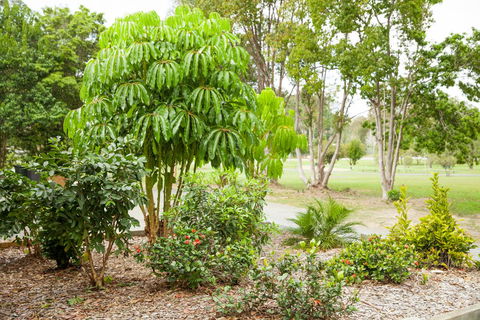 Kempsey Rose Motor Inn - Accommodation Sunshine Coast 42
