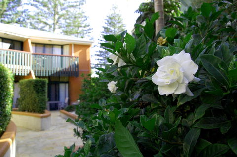 The Crest Byron Bay - Accommodation Sunshine Coast 29