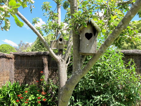 Apple Tree Cottage - Accommodation Sunshine Coast 28