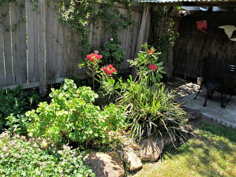 Apple Tree Cottage - Accommodation Sunshine Coast 26