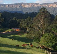 Amaroo Valley Springs - Accommodation Sunshine Coast