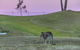 Oaks Cypress Lakes Resort - thumb 28