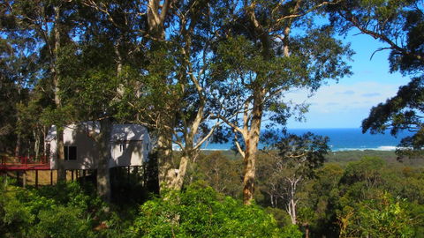 Bundle Hill Cottages - Accommodation Sunshine Coast 7